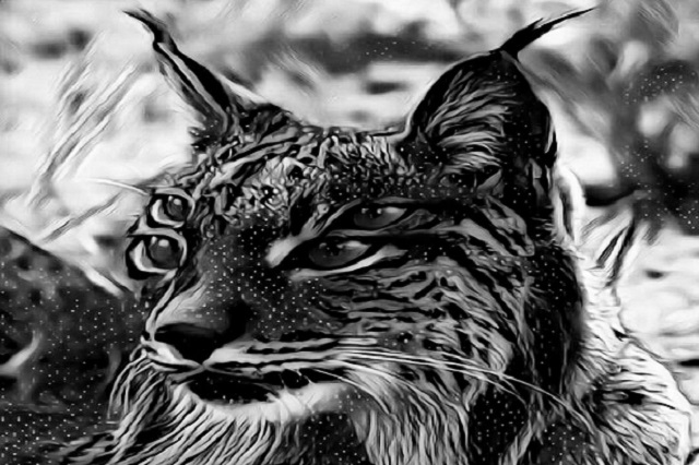 Capítulo 10. La Caida De Dios